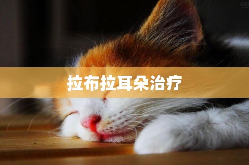 拉布拉耳朵治療