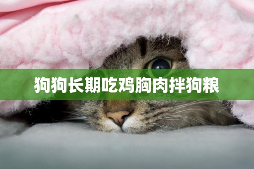 狗狗長期吃雞胸肉拌狗糧