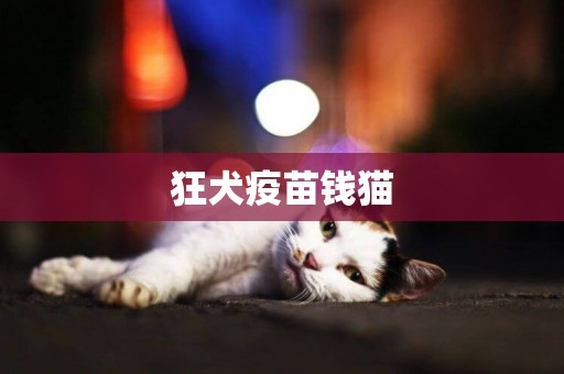狂犬疫苗錢貓