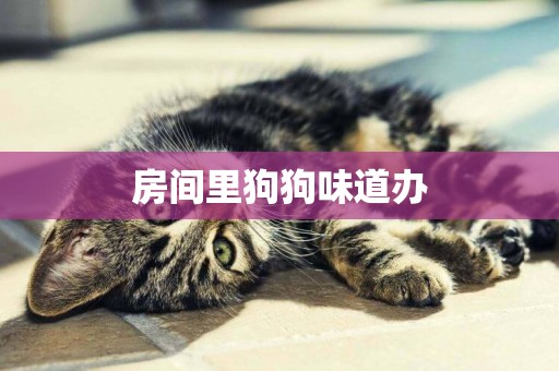 房間里狗狗味道辦