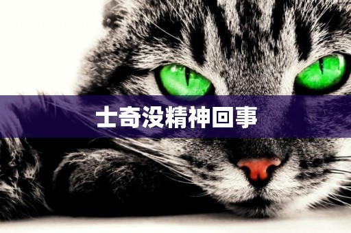 士奇沒精神回事