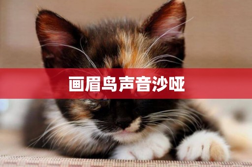 畫眉鳥聲音沙啞
