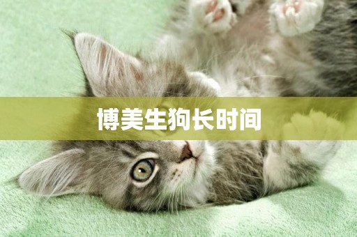 博美生狗長時間