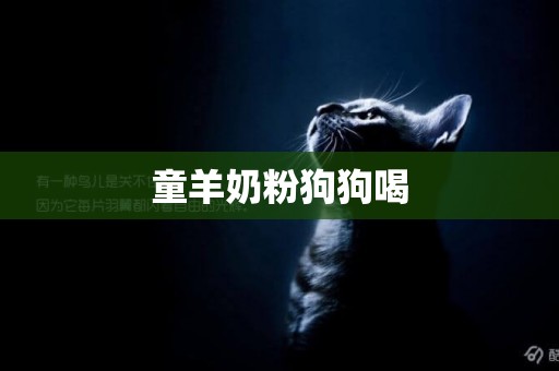 童羊奶粉狗狗喝
