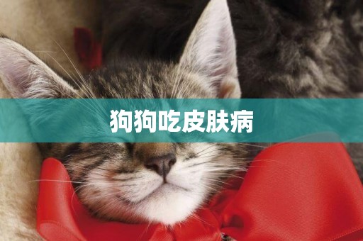 狗狗吃皮膚病