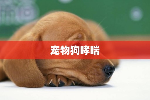 寵物狗哮喘