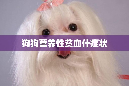 狗狗營養性貧血什癥狀