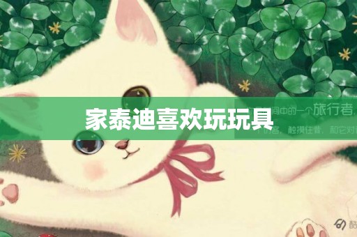 家泰迪喜歡玩玩具