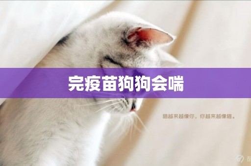 完疫苗狗狗會喘