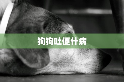 狗狗吐便什病