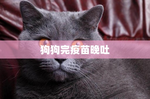 狗狗完疫苗晚吐