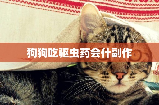 狗狗吃驅蟲藥會什副作