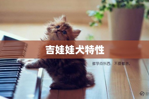 吉娃娃犬特性