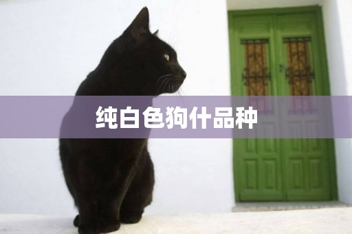 純白色狗什品種