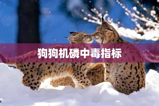 狗狗機磷中毒指標