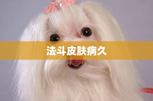 法斗皮膚病久