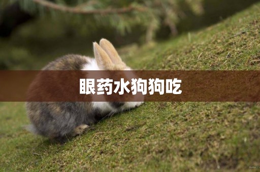 眼藥水狗狗吃
