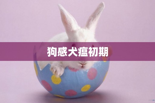 狗感犬瘟初期