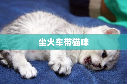 坐火車帶貓咪