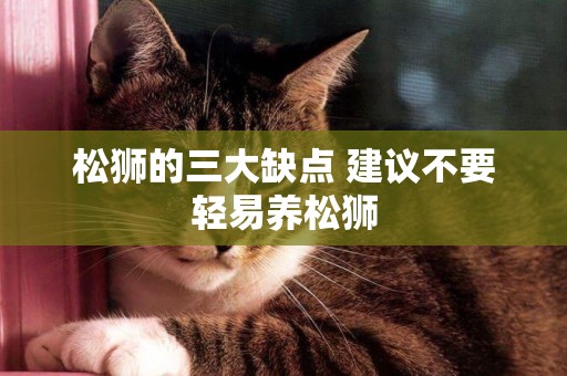 松獅的三大缺點 建議不要輕易養松獅 松獅的三大缺點 建議不要輕易養松獅