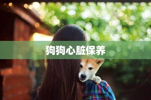 狗狗心臟保養