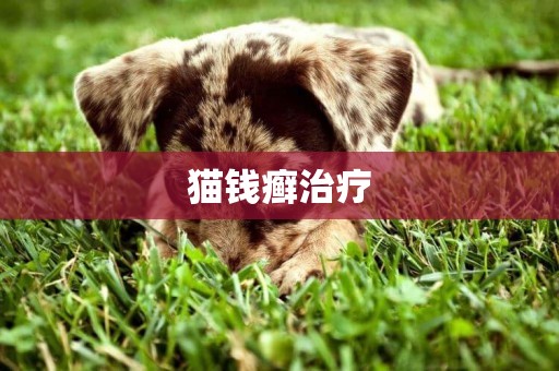 貓錢癬治療
