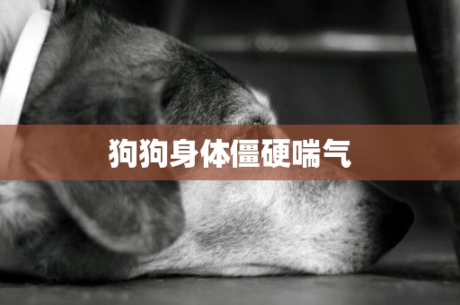 狗狗身體僵硬喘氣