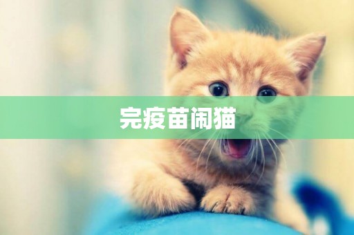 完疫苗鬧貓