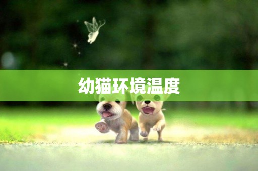 幼貓環境溫度