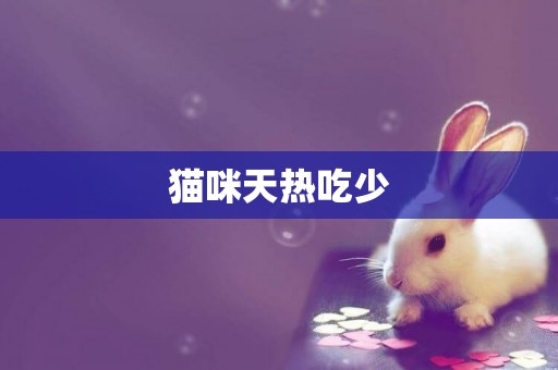 貓咪天熱吃少