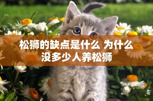 松獅的缺點是什么 為什么沒多少人養松獅