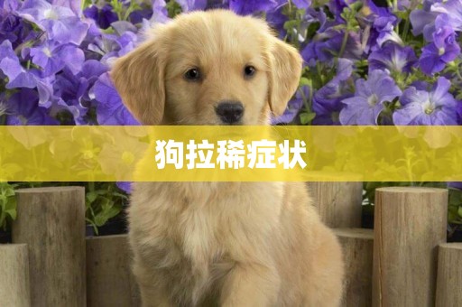 狗拉稀癥狀