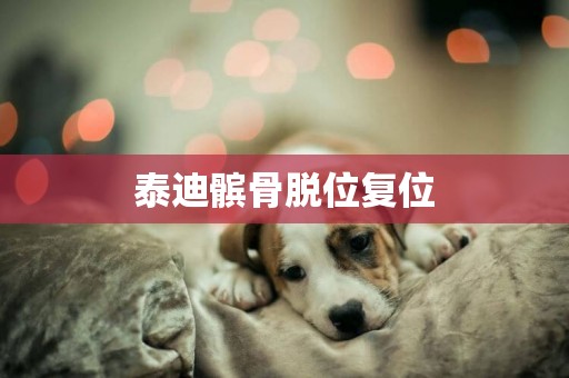 泰迪髕骨脫位復位