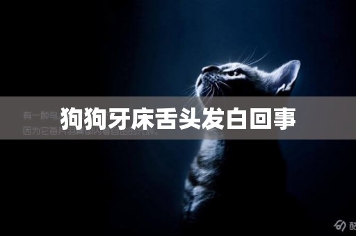 狗狗牙床舌頭發白回事