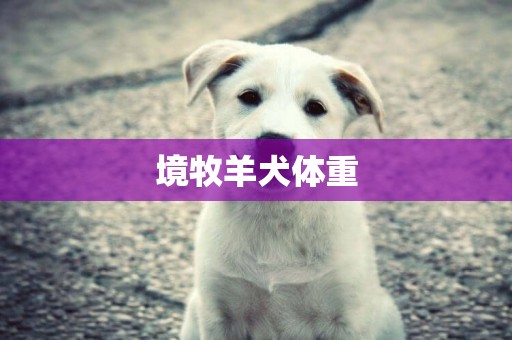 境牧羊犬體重