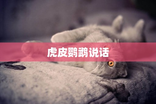 虎皮鸚鵡說話