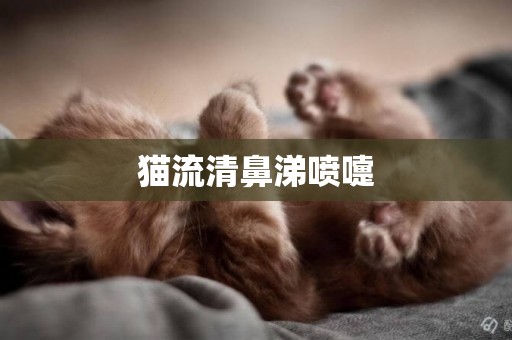 貓流清鼻涕噴嚏
