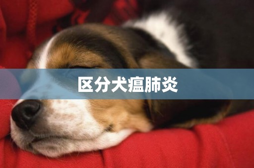 區分犬瘟肺炎