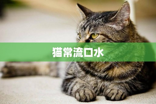 貓常流口水