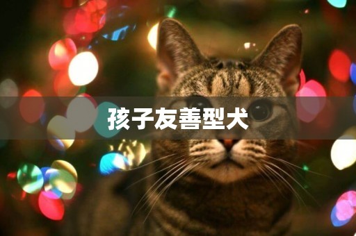 孩子友善型犬
