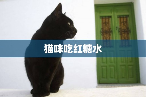 貓咪吃紅糖水