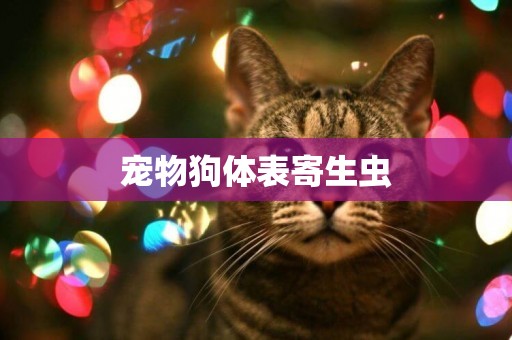 寵物狗體表寄生蟲