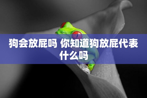 狗會放屁嗎 你知道狗放屁代表什么嗎