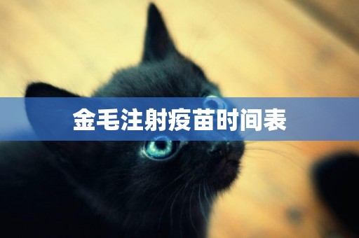 金毛注射疫苗時間表