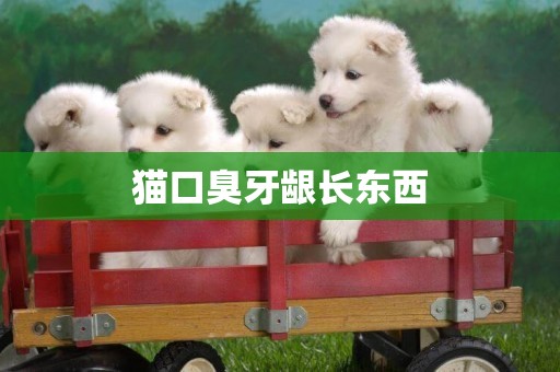 貓口臭牙齦長東西