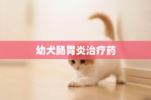 幼犬腸胃炎治療藥