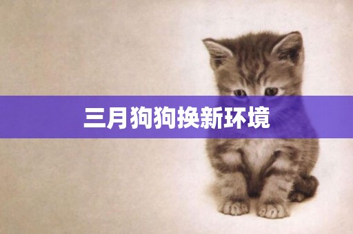 三月狗狗換新環境