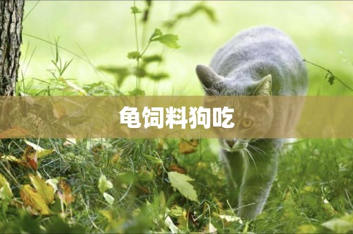 龜飼料狗吃