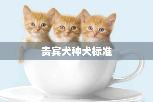 貴賓犬種犬標準