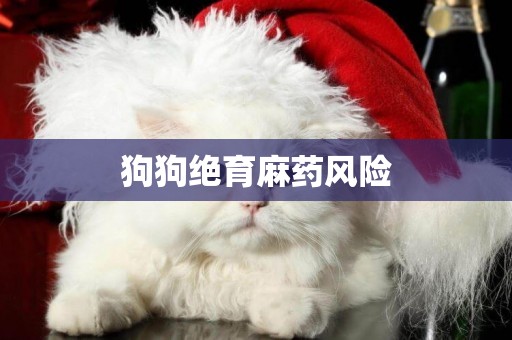 狗狗絕育麻藥風險